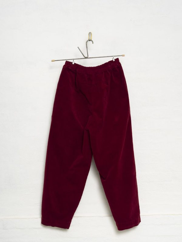 H+ Pedra Velvet Pants - Image 6