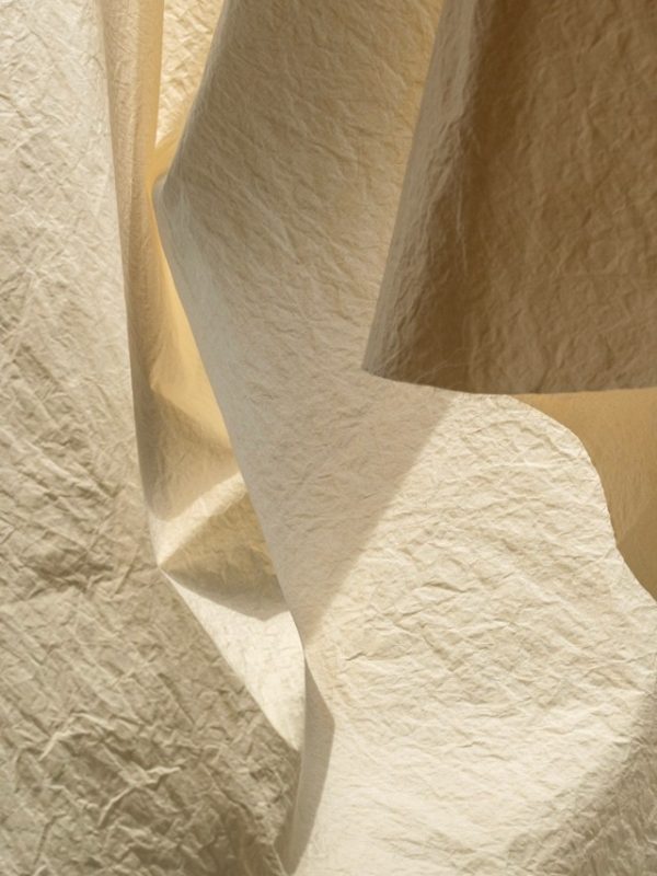 GANETA Shirt - Image 6
