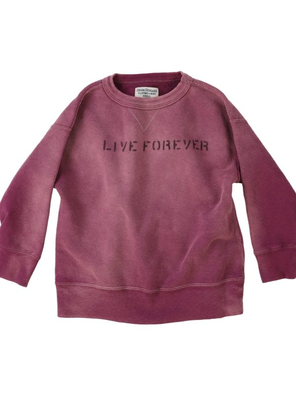 Vintage Fleece DOG Sweatshirt - Image 2