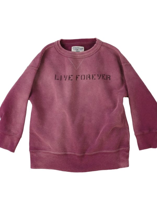 Vintage Fleece DOG Sweatshirt