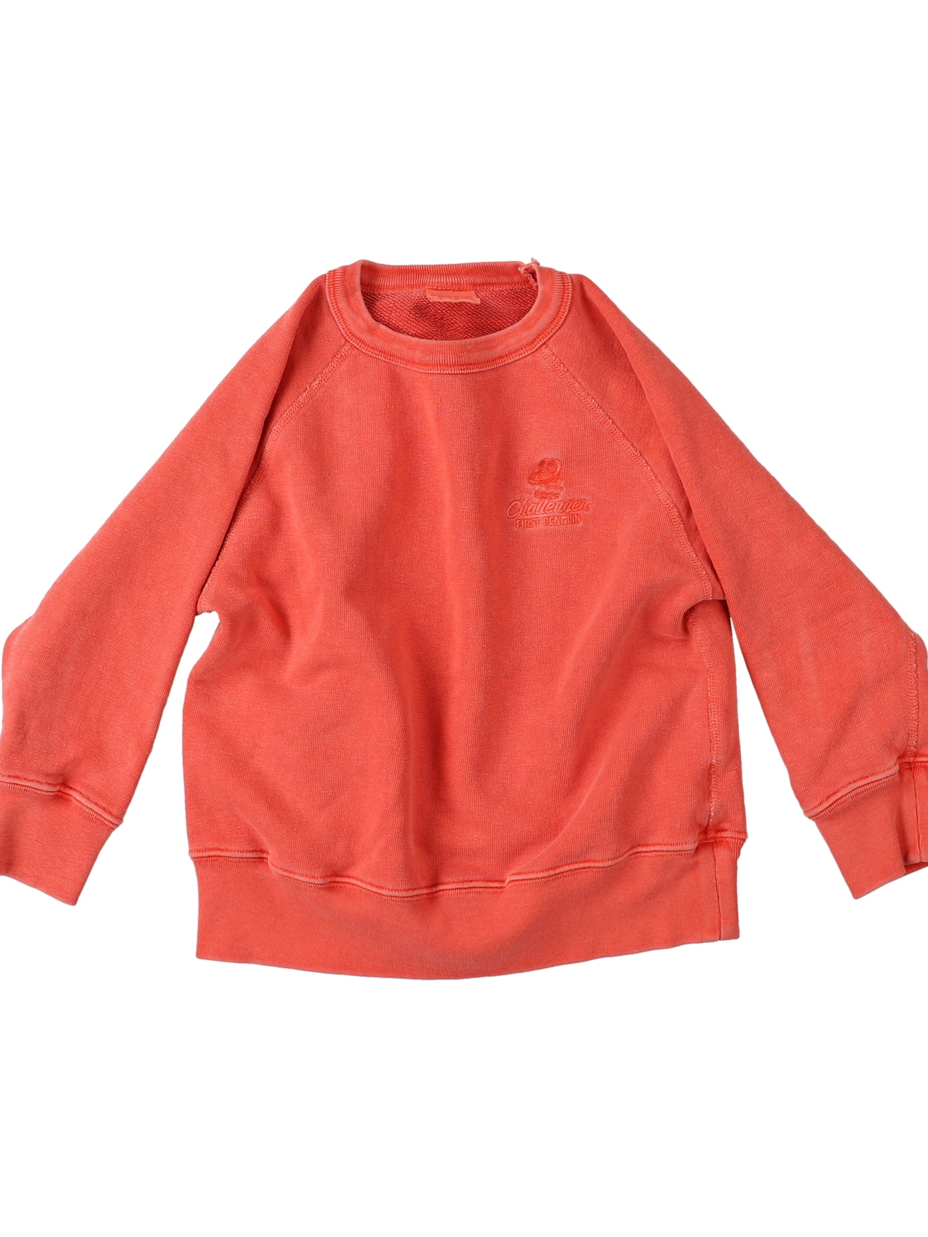 DD PENNIE DYED Sweatshirt